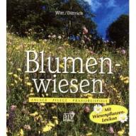 Witt, Blumenwiesen