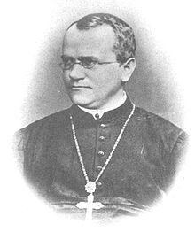Gregor Mendel Foto Wikipedia