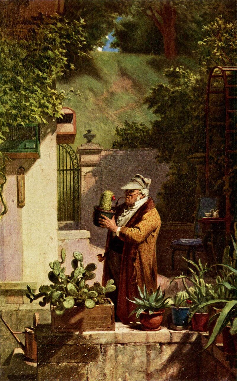 Spitzweg Kaktusfreund Foto Wikipedia