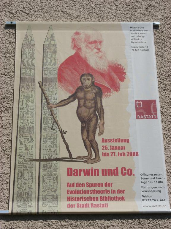 Darwin Plakat Foto Brandt