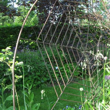 Spinnennetz im Garten Bornhöved